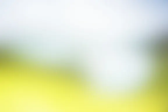 Mint Kazino Atbalsts